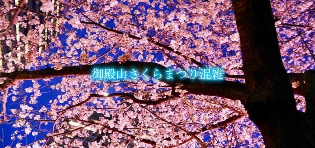 【御殿山さくらまつり混雑2024】平日&土日(夜含)！交通規制と駐車場混雑攻略