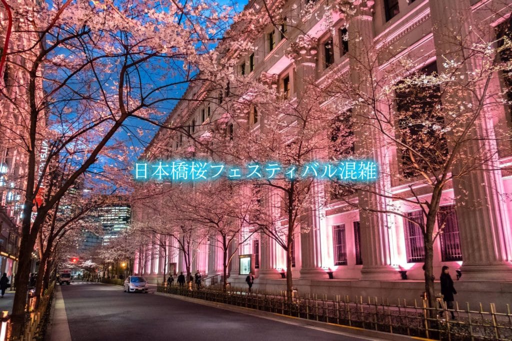 【日本橋桜フェスティバル混雑2024】平日&土日！ライトアップ時間と駐車場混雑攻略