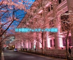 日本橋桜フェスティバル