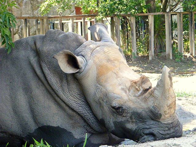 東武動物公園