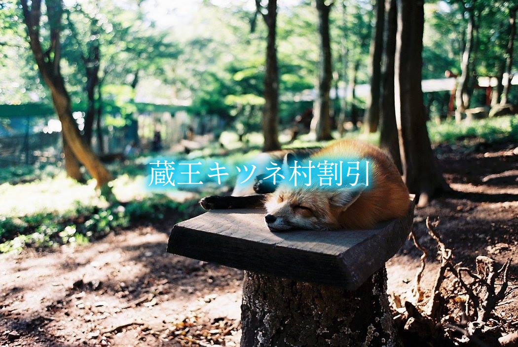 蔵王キツネ村