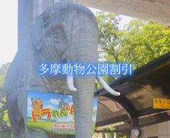 多摩動物公園　割引