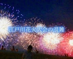 江戸川花火大会　混雑