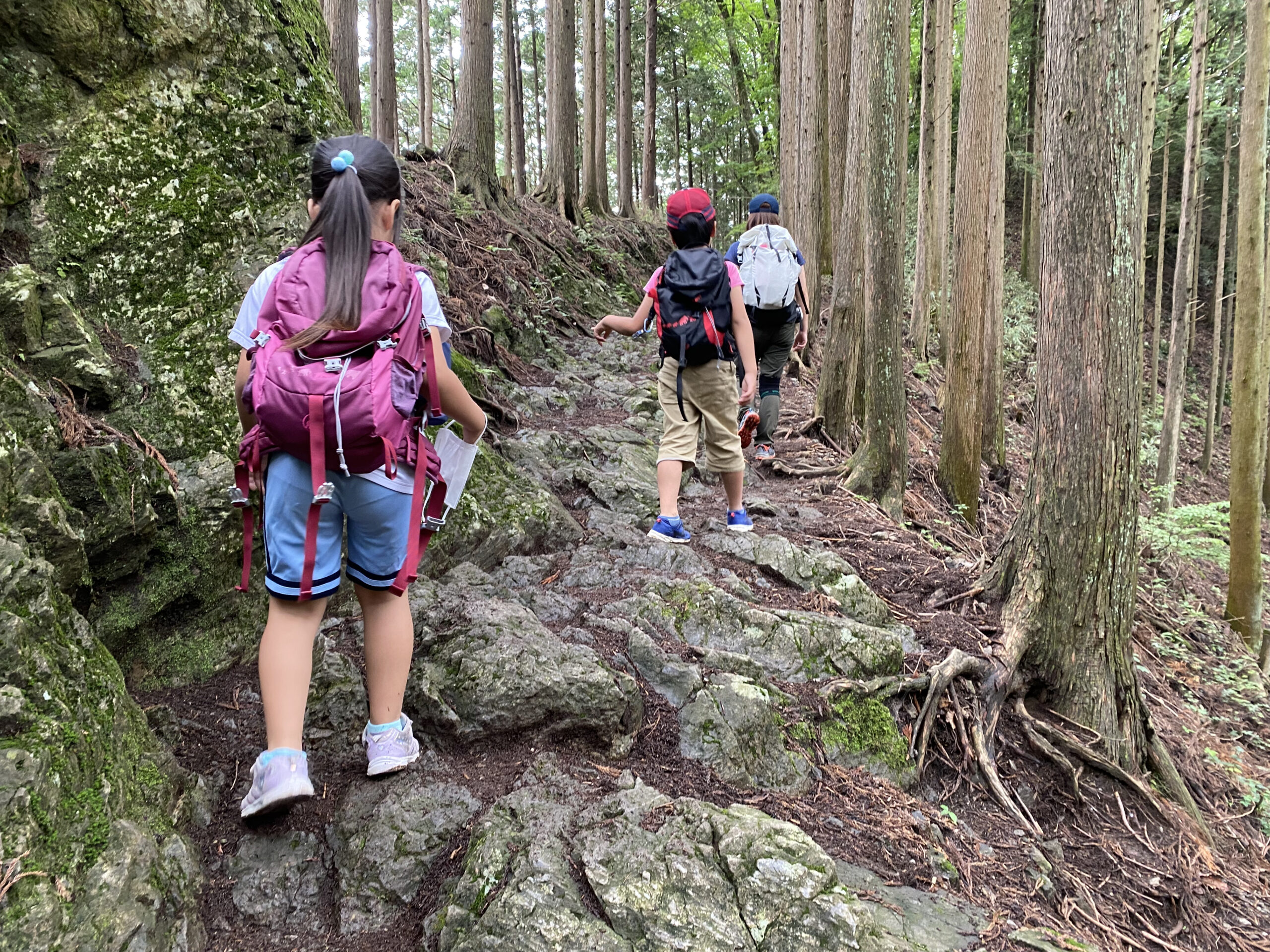 日の出山