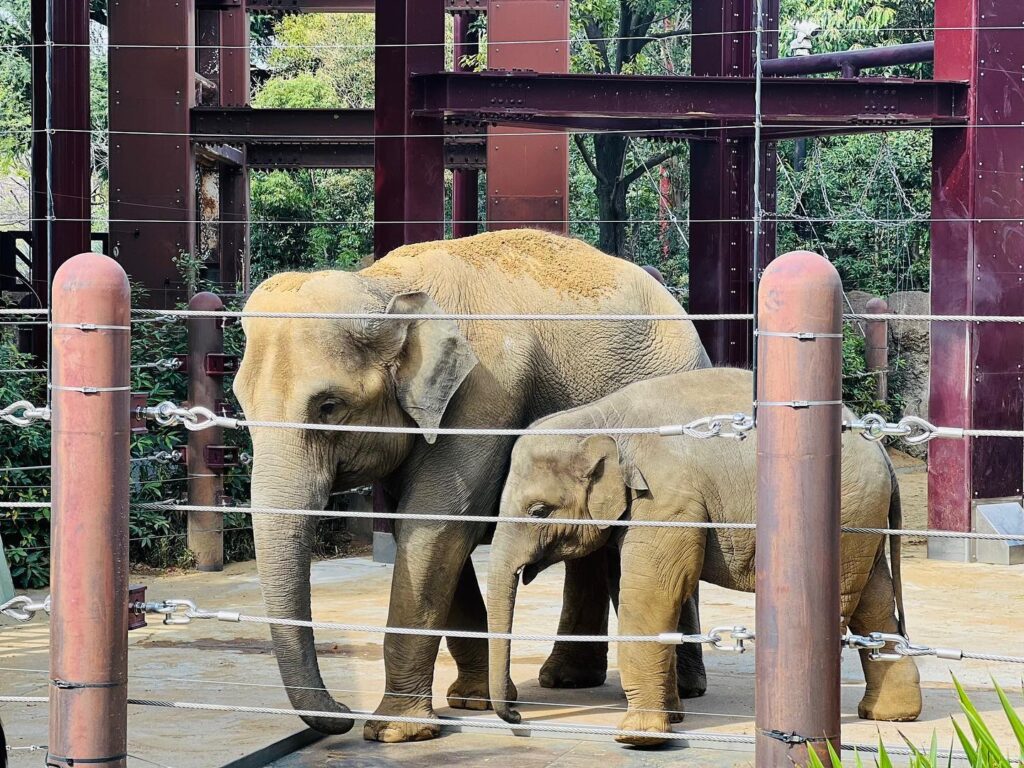 上野動物園が混んでいる時期