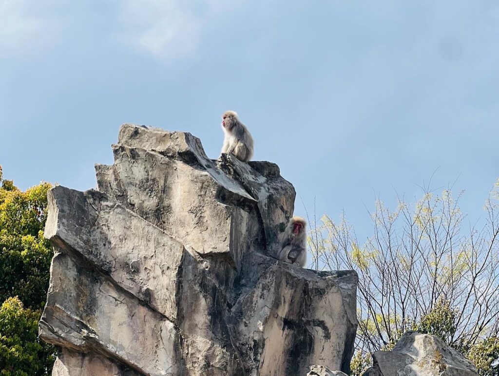 上野動物園が空いている時期