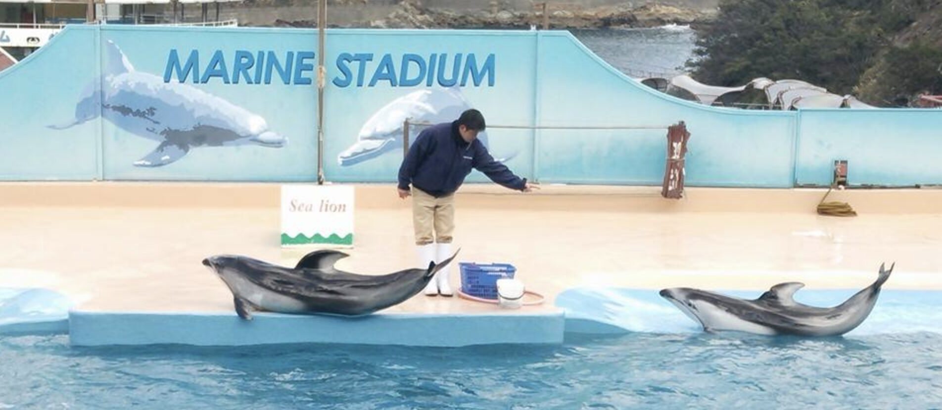 下田海中水族館の割引